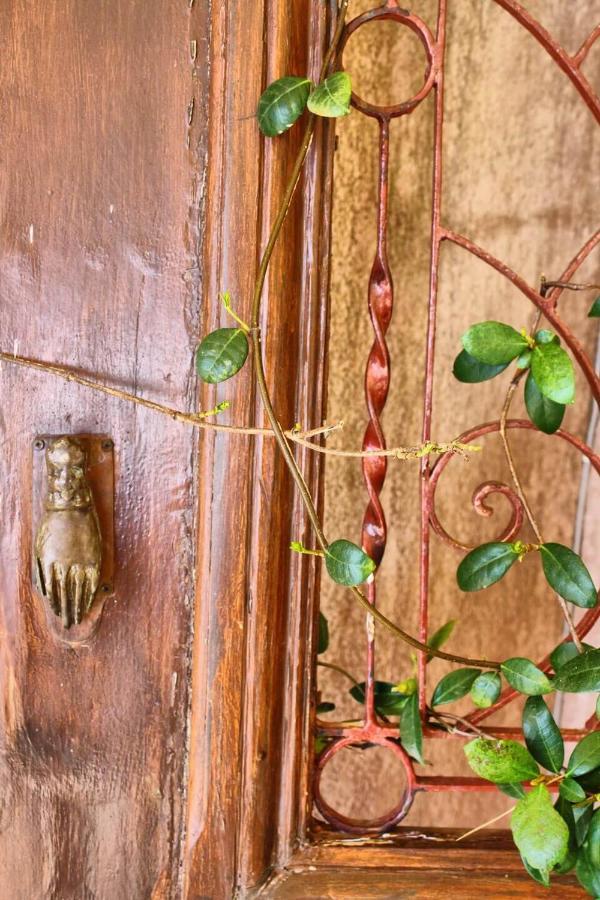 Villa Cottage Kantrillies Fokata Dış mekan fotoğraf